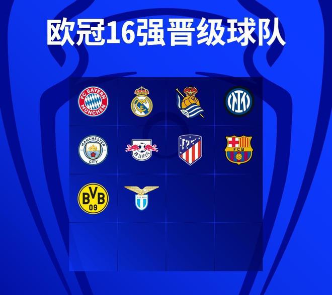 教练组的 教练组的