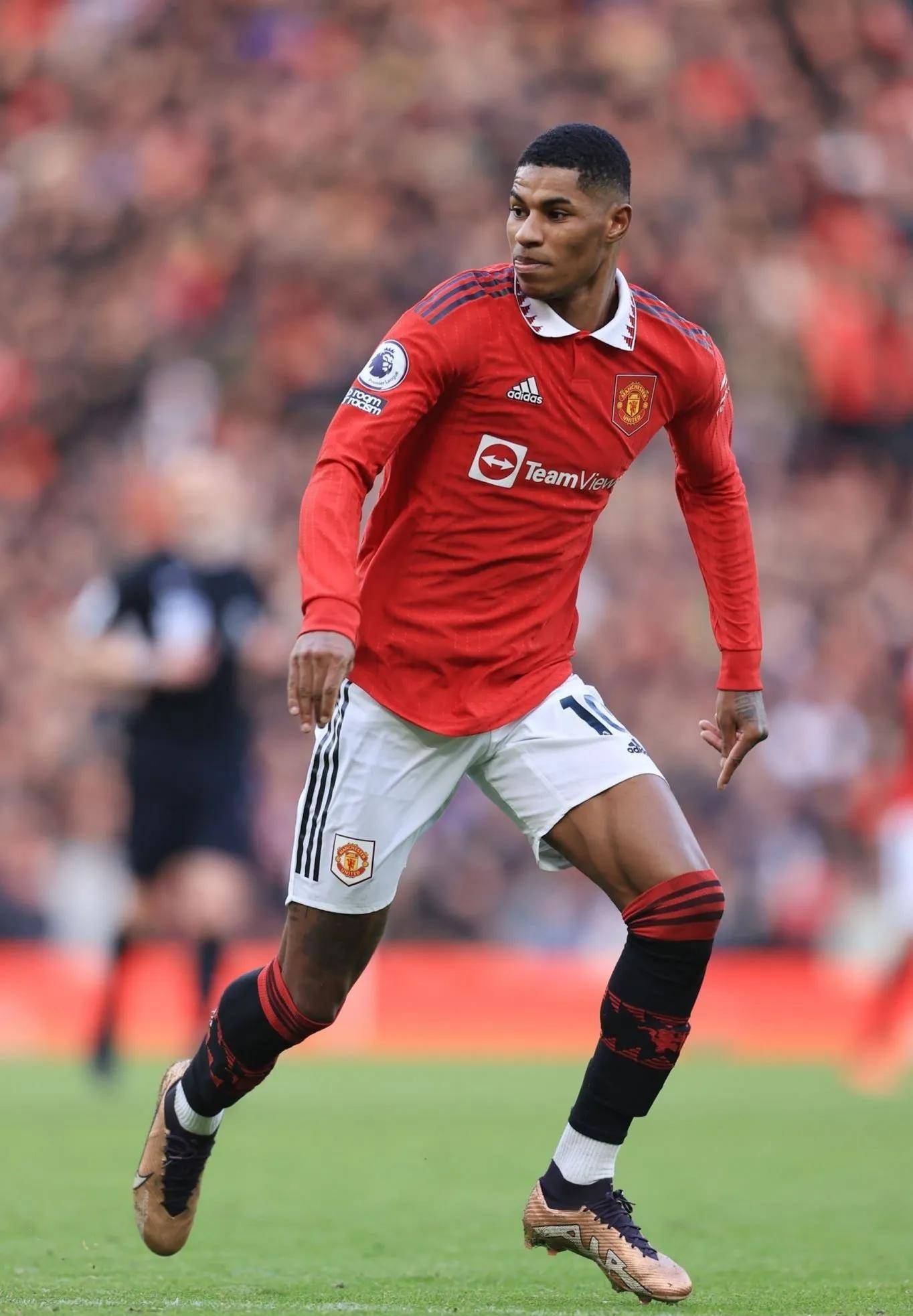 但越来越多 但越来越多